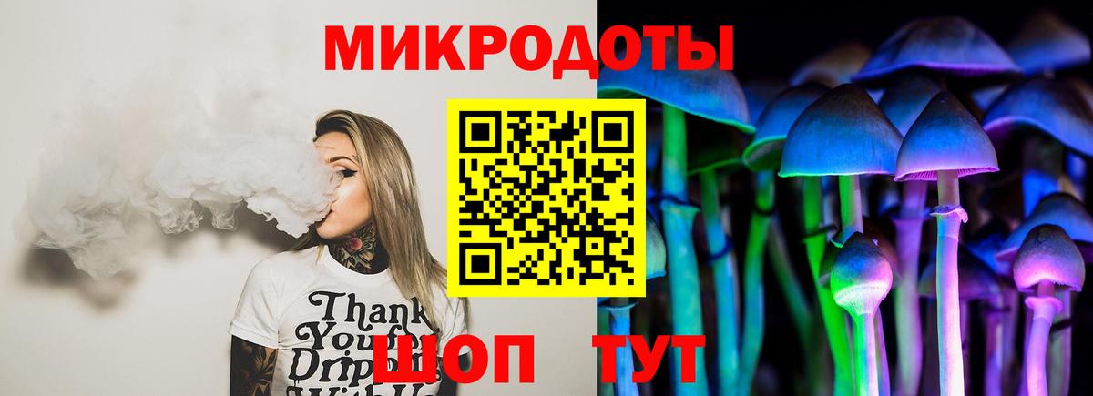Галлюциногенные грибы Psilocybine cubensis Нижний Тагил