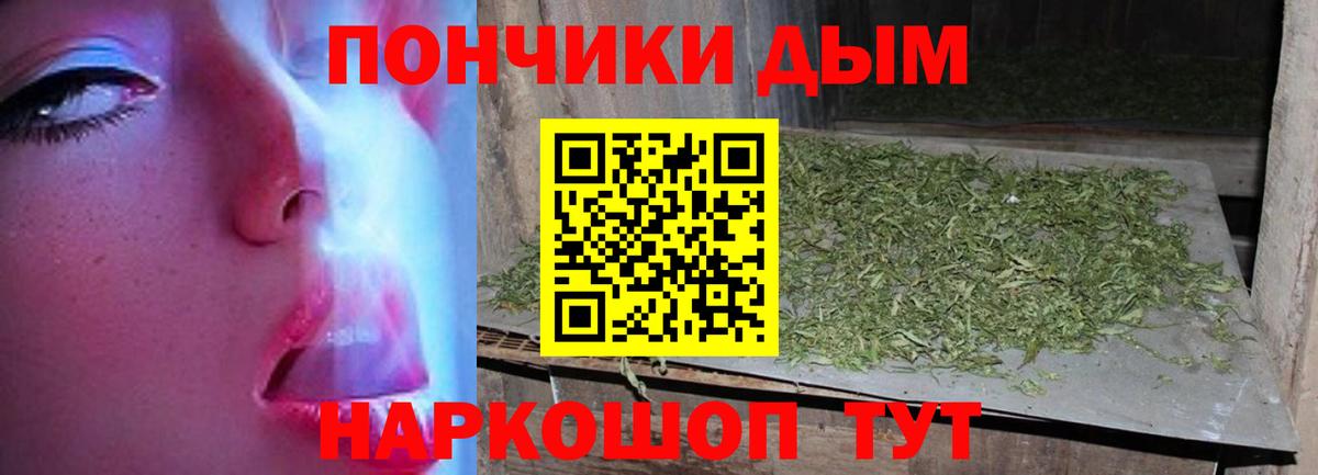 Шишки марихуана Amnesia Нижний Тагил